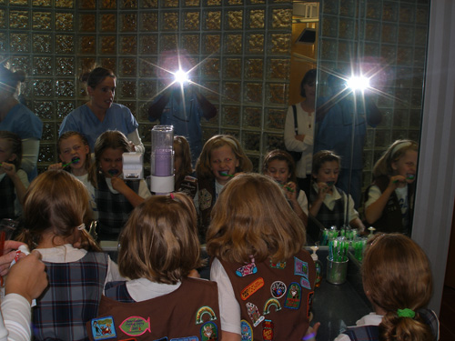 Brownie Troop